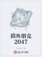 摸鱼朋克2047