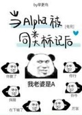 撩错Alpha被标记后还挺香