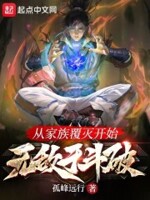 斗破苍穹之药帝传奇