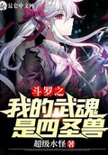 斗罗之四圣兽武魂