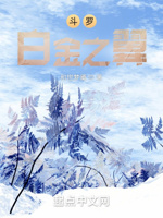 斗罗：白金之翼