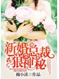 新婚总裁很神秘