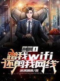 无线wifi