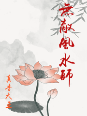 无敌风水师林楚