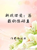 旧欢心爱,总裁的二婚妻