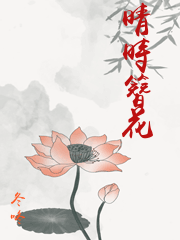 晴时簪花番外