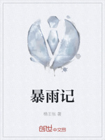 暴雨记