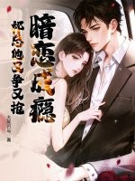 暗恋成瘾,祁总他又争又抢