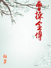 曹操传2011装备