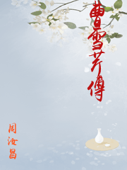 曹雪芹传