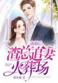 未婚先孕(婚后 追妻火葬场)小说原著叫什么