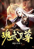 武道至尊 作者:醉清风