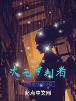 次元审判者,只有武侠模拟器