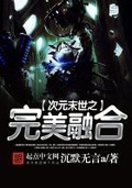 次元末世之完美融合下载