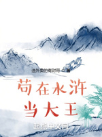 水浒传之水云庄