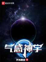 气感神宇