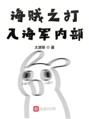 海贼之打入海军内部