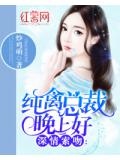 深情索吻：纯禽总裁晚上好