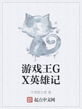 游戏王gx英雄记