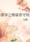 清穿之四福晋文婉