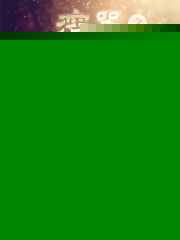 溶器之墨日悬城