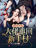 满级魔法师重回新手村小说