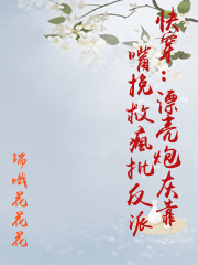 漂亮反派[快穿] 作者:锂素