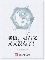 老板,灵石又又又没有了！