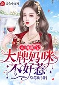 萌宝是大佬:总裁妈咪不好惹