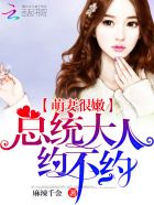 萌妻很嫩：总统大人,约不约