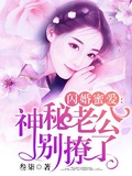 蜜爱闪婚老公宠上天