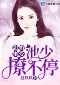 蜜婚甜妻 帝少宠不停