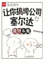 让你搞垮公司,塞尔达是什么鬼？