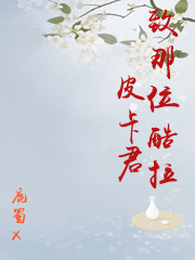 血色大丽花 (猎人同人,酷拉皮卡BG)