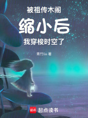 被祖传木阁缩小后,我穿梭时空了