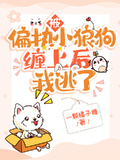 被偏执小狼狗缠上后我逃了