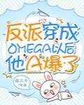 装A的Omega他A爆了