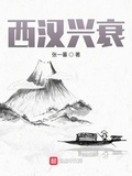 西汉兴衰史epub