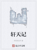轩天记