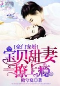 豪门宠婚：宝贝甜妻,撩上瘾