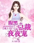 豪门总裁之枕上宠婚 小说