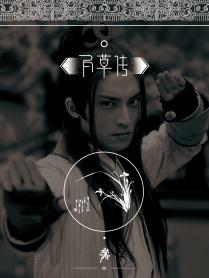 逆天系统之淑女不淑