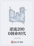 逆流2000创业时代txt下载