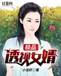 透视仙婿小说