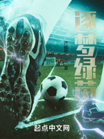 逐梦绿茵