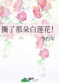 那朵白莲小师弟 讲了什么