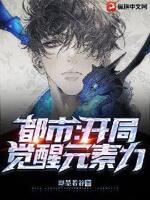 都市：开局觉醒元素力