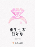 重生七零好年华 小说