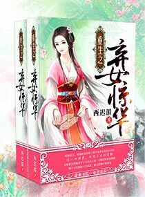 重生之弃女惊华