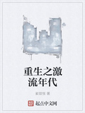 重生之激流人生小说